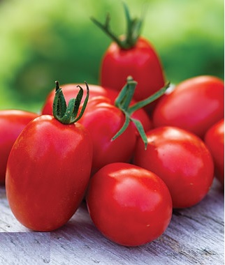Mighty Sweet Hybrid Cherry Tomato